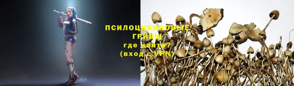 каннабис Алзамай